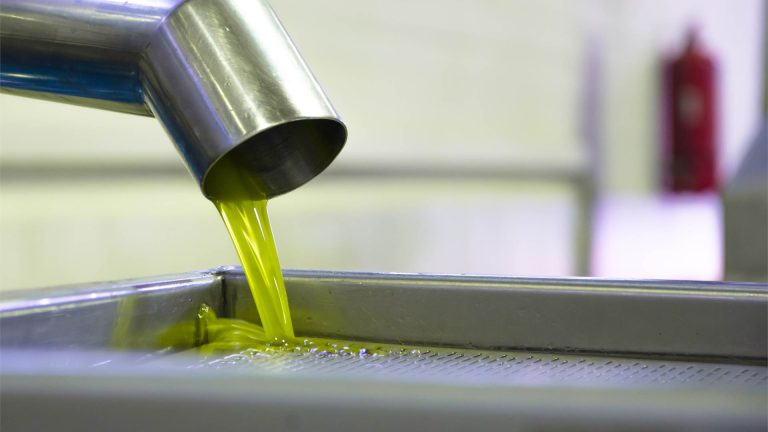Olive Oil Manufactory 18