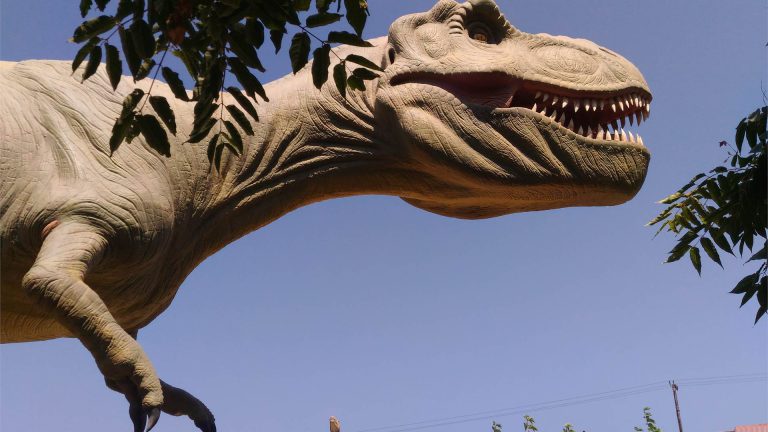 Park Of Dinosaurs 8