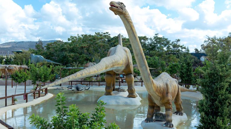 Park Of Dinosaurs 9
